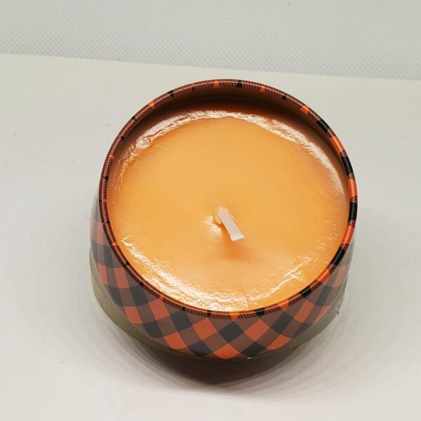 Pumpkin Patch